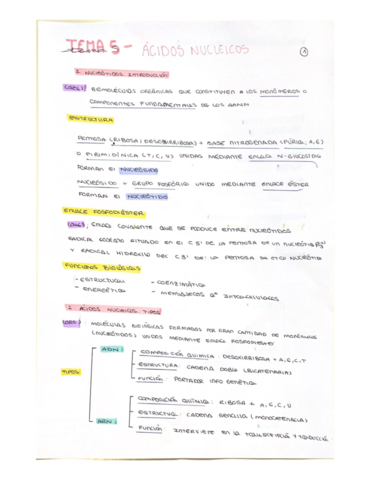 TEMA-5-ACIDOS-NUCLEICOS.pdf