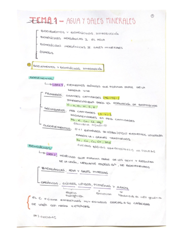 TEMA-1-AGUA-Y-SALES-MINERALES.pdf