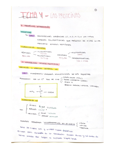 TEMA-4-PROTEINAS.pdf