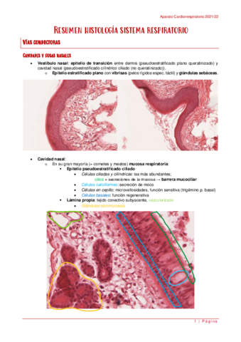 Resumen-histologia-y-fisiologia-Cardiorrespiratorio.pdf