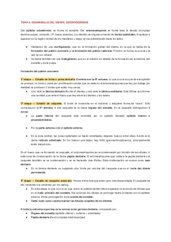 TEMA-5-2.pdf