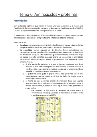 NutricionParcial2.pdf