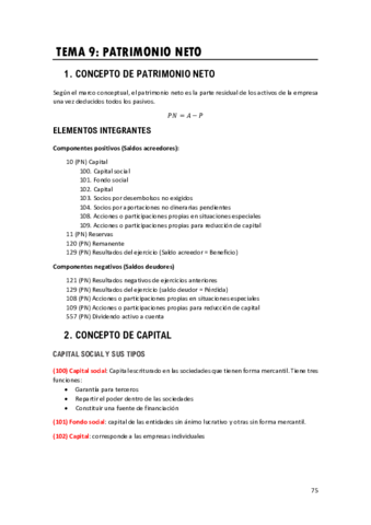 Tema-9Patrimonio-Neto.pdf