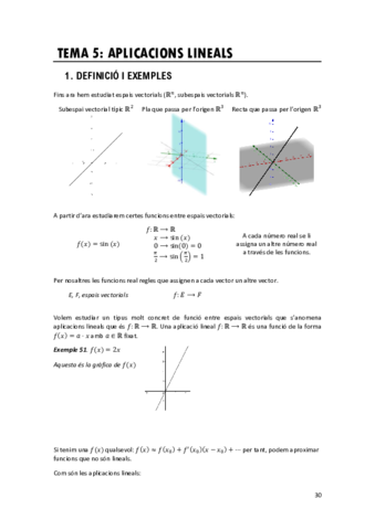 Tema-5Aplicacions-lineals.pdf