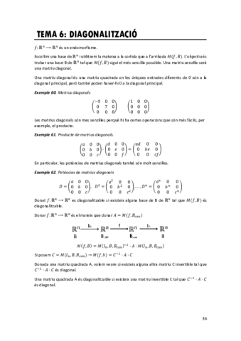 Tema-6Diagonalitzacio.pdf