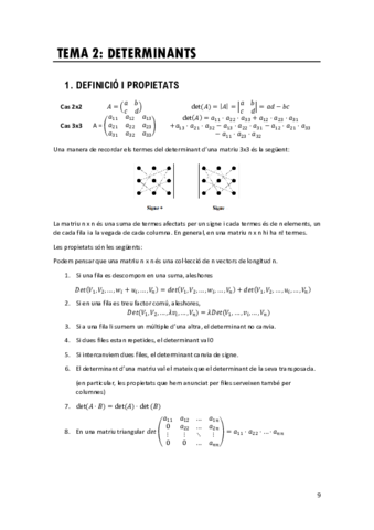Tema-2Determinants.pdf