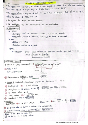 REDOX-PILAS.pdf