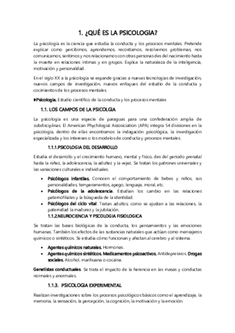 Resum-manual.pdf