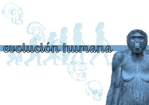 Evolucion-Humana.pdf