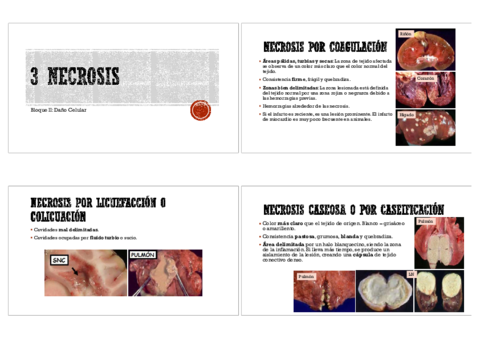 Anatomía patológica general- Imágenes 1 parcial.pdf