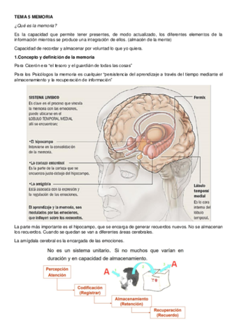 TEMA-5-MEMORIA.pdf