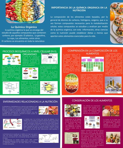 infografiaquimicaorganicajpg-8a0af99e676422770fc5f92d43cee8f0.jpg