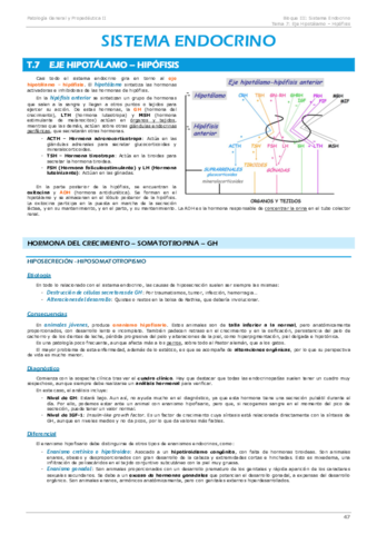Patología general y propedéutica 2- Bloque 3 Endocrino.pdf
