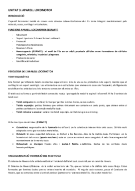 FISIOLOGIA UNITAT 3.pdf