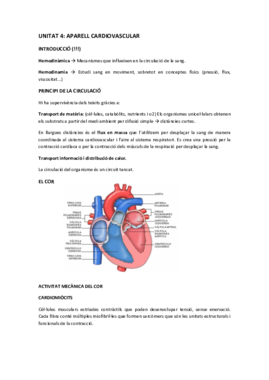 FISIOLOGIA UNITAT 4.pdf