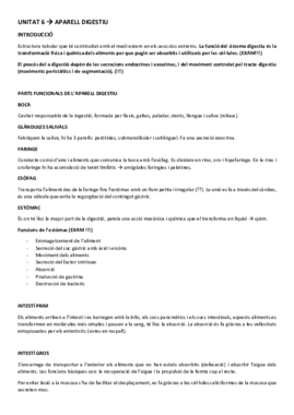 FISIOLOGIA UNITAT 6.pdf