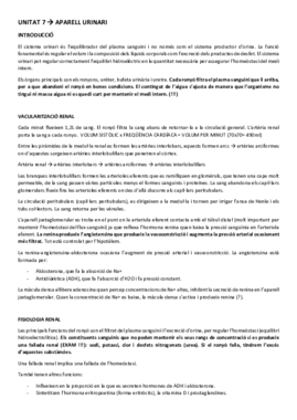FISIOLOGIA UNITAT 7.pdf