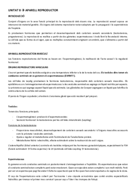 FISIOLOGIA UNITAT 8.pdf