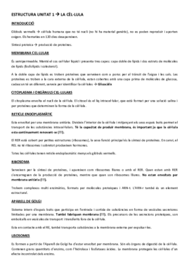 ESTRUCTURA UNITAT 1.pdf