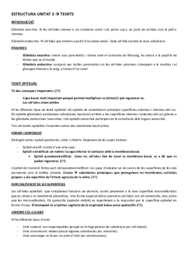 ESTRUCTURA UNITAT 3.pdf
