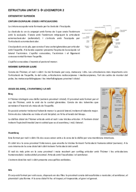 ESTRUCTURA UNITAT 4.1.pdf