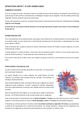 ESTRUCTURA UNITAT 6.pdf