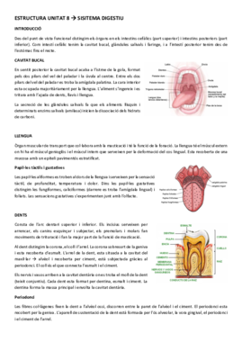 ESTRUCTURA UNITAT 7.pdf
