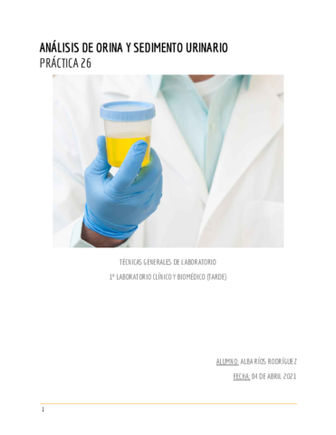 ALBA-RIOS-PRACTICA-26.pdf