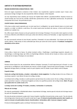 ESTRUCTURA UNITAT 8.pdf