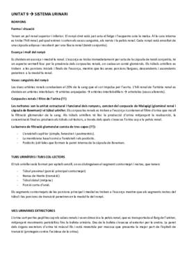 ESTRUCTURA UNITAT 9.pdf
