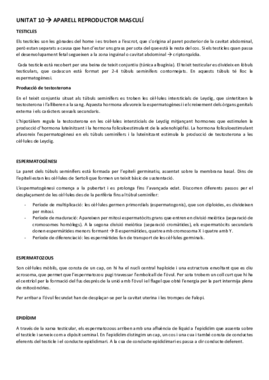 ESTRUCTURA UNITAT 10.pdf
