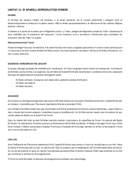 ESTRUCTURA UNITAT 11.pdf
