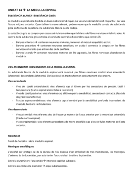 ESTRUCTURA UNITAT 14.pdf