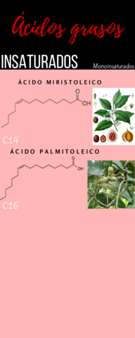 Acidos-grasos-insaturados.pdf