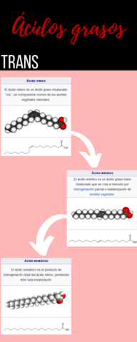 Acidos-grasos-trans.pdf