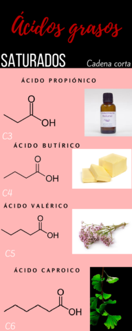 Acidos-grasos-saturados.pdf