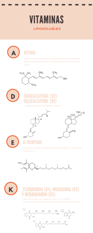 vitaminas.pdf