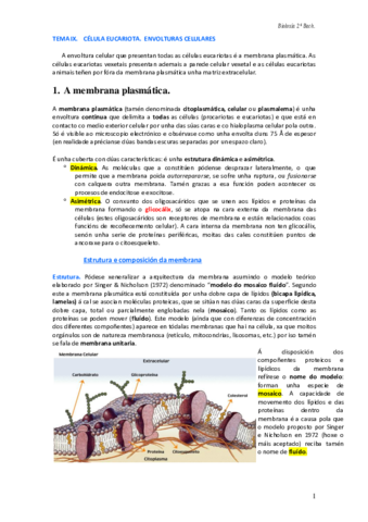 TEMA-IX-CELULA-EUCARIOTA-ENVOLTURAS-CELULARES-sen-especializacions-de-membrana-1.pdf