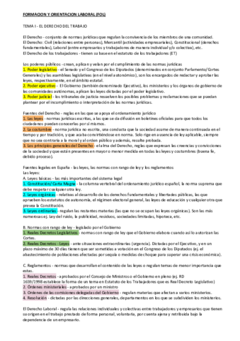 RESUMEN-FOL.pdf