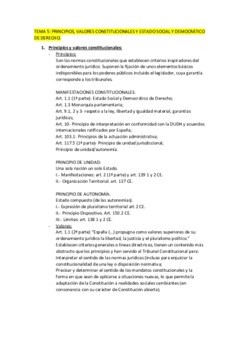 TEMA-5.pdf