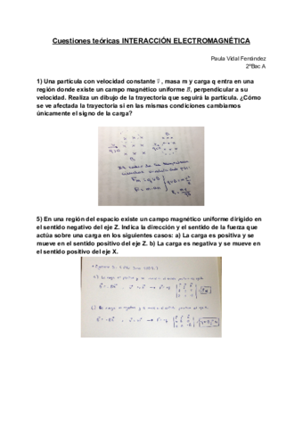 Cuestiones-teoricas-INTERACCION-ELECTROMAGNETICA-Paula-Vidal.pdf