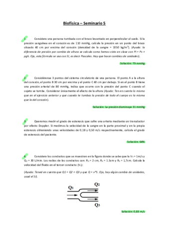Soluciones-Seminario-5.pdf