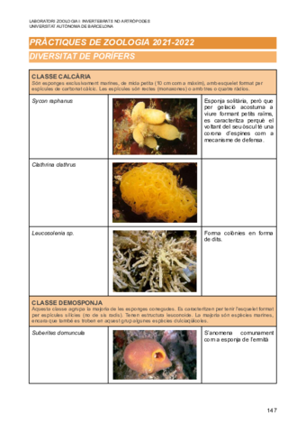 Visu-de-Zoologia-.pdf