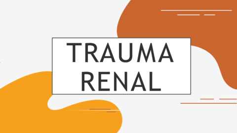 TRAUMA-RENAL.pdf
