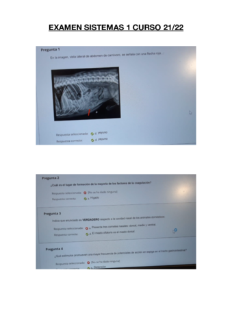 EXAMEN-SISTEMAS-1-CURSO-21-22-.pdf
