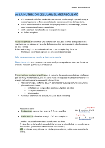 Resumenes-biologia-T3-HSB.pdf