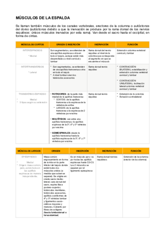 Musculos-espalda-nuca-y-miembro-inferior.pdf