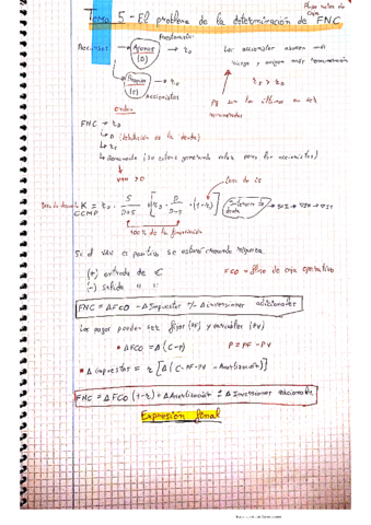 Tema-5-Problema-determinacion-FNC.pdf