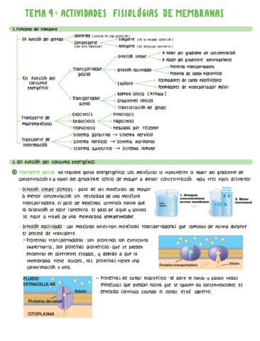 TEMA-9-ACTIVIDADES-FISIOLOGICAS-DE-MEMBRANAS.pdf