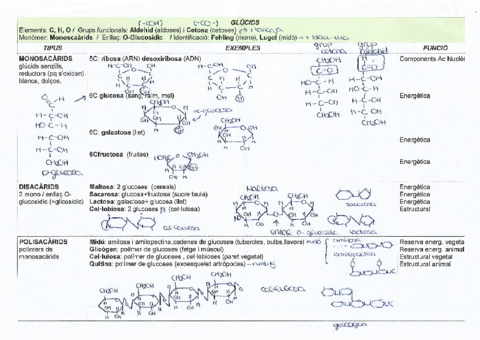Deures estiu de 2nBatx